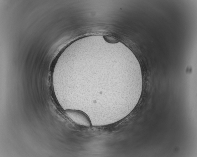 X0000114680338200911181235
