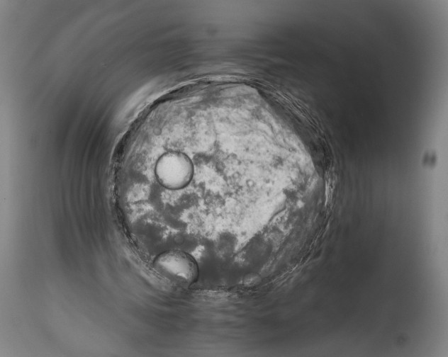 X0000114680339200911181235