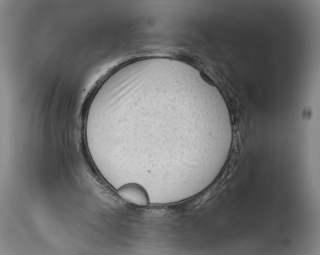X0000114680342200911181235