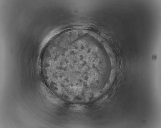 X0000114680343200911181235