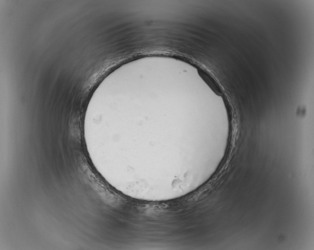 X0000114680345200911181235