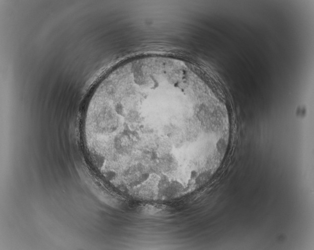 X0000114680346200911181235
