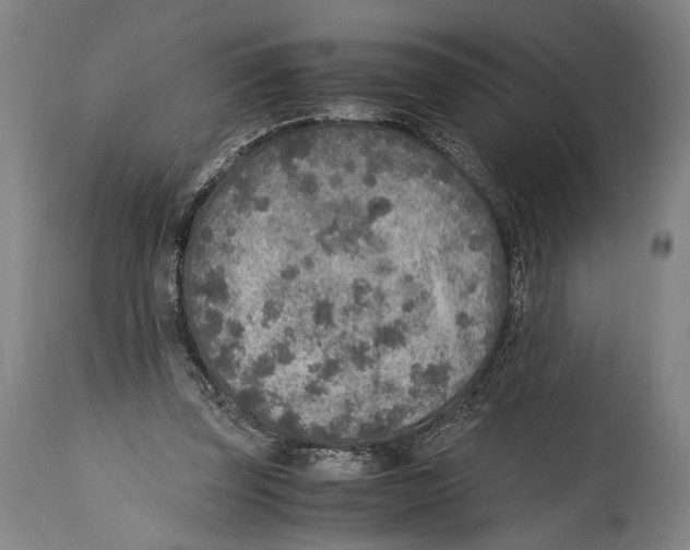 X0000114680347200911181235