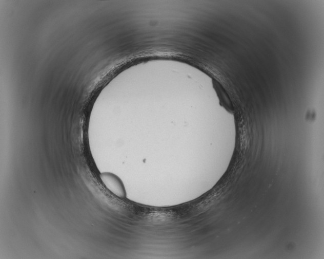 X0000114680350200911181235