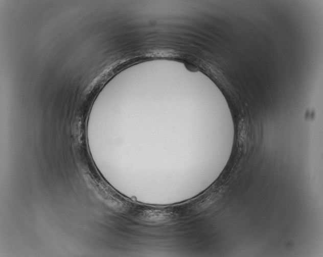 X0000114680351200911181235