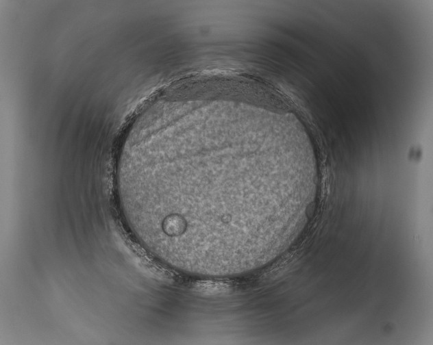 X0000114680354200911181235