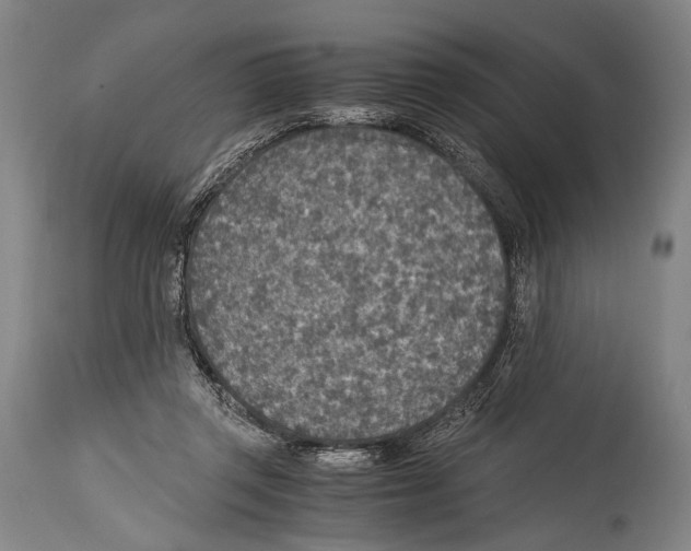 X0000114680357200911181235