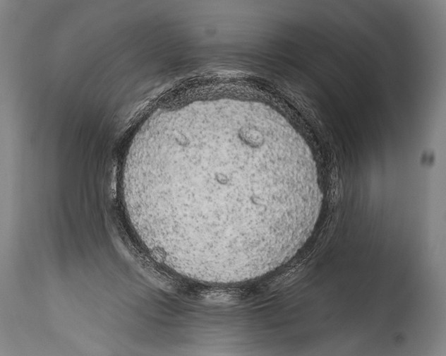 X0000114680358200911181235