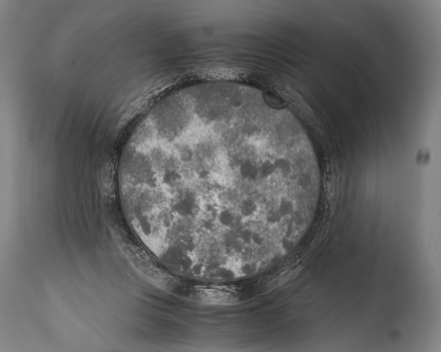 X0000114680359200911181235