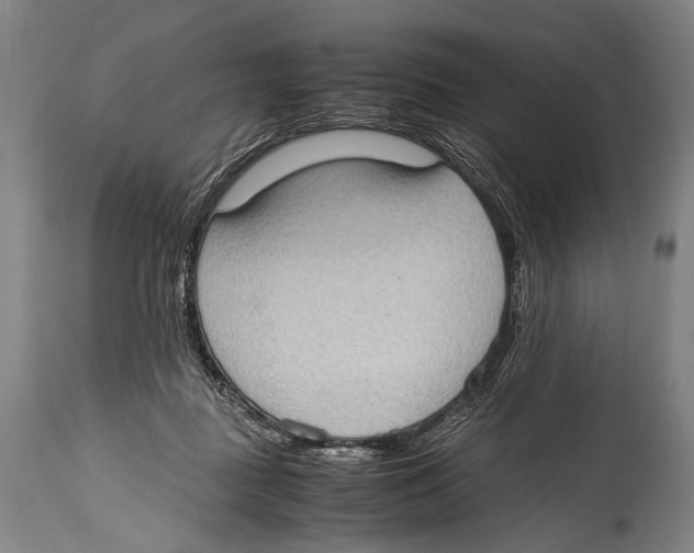 X0000114680363200911181235
