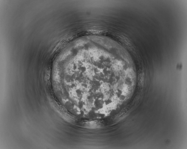 X0000114680365200911181235