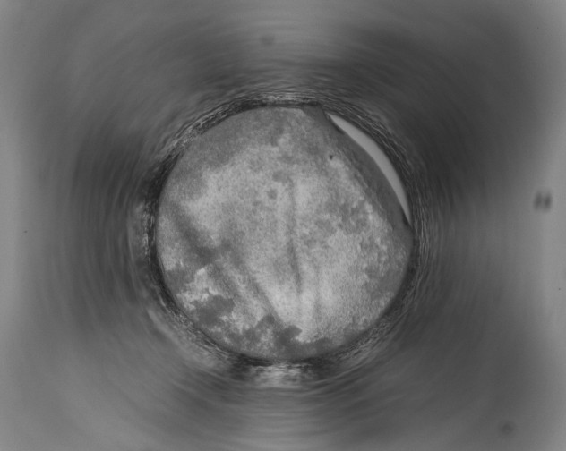 X0000114680366200911181235
