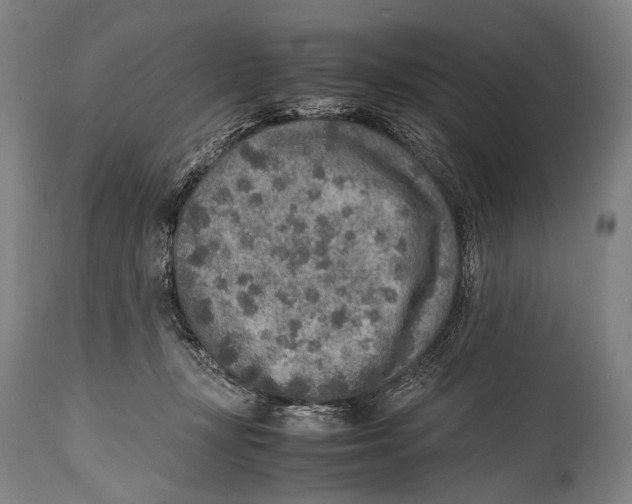 X0000114680367200911181236