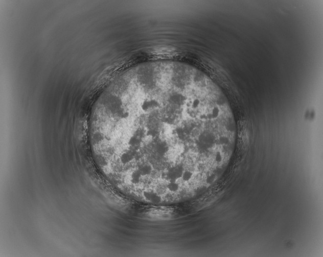 X0000114680369200911181236