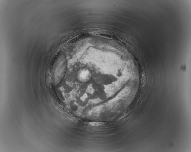 X0000114680371200911181236
