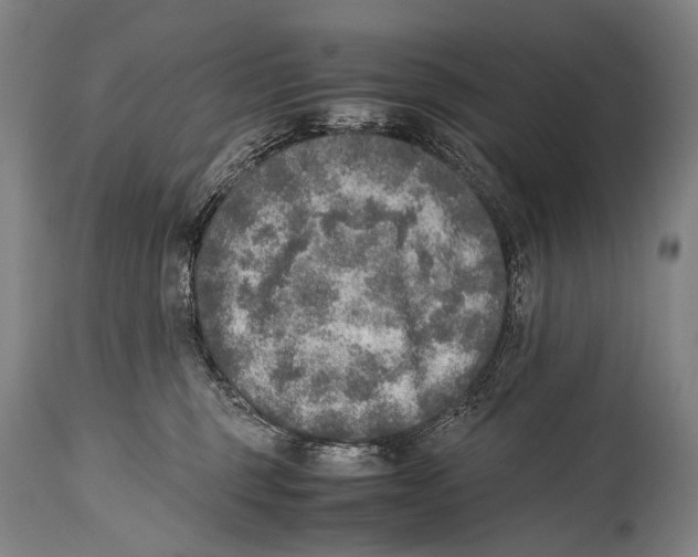 X0000114680375200911181236