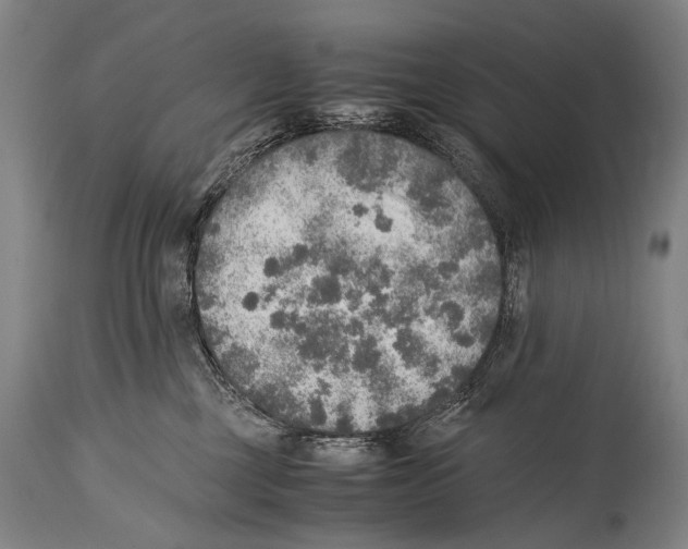 X0000114680377200911181236
