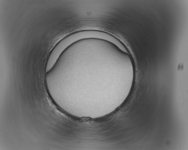 X0000114680385200911181235