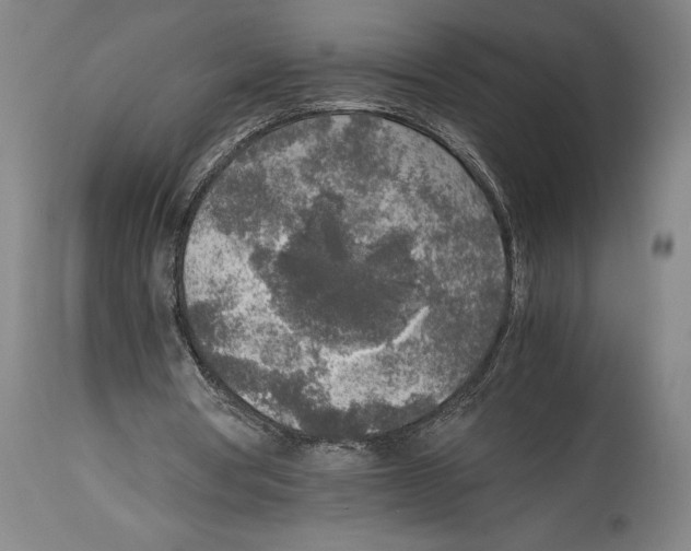 X0000114680386200911181235