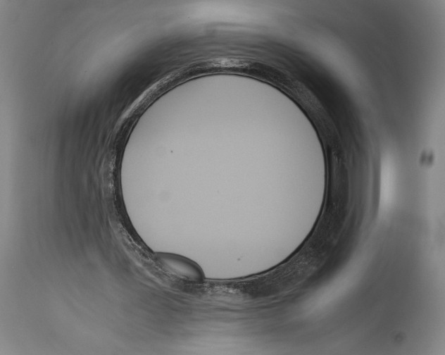 X0000114680387200911181235