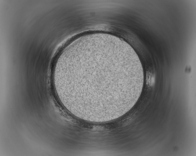X0000114680388200911181235