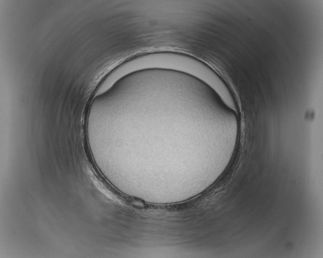 X0000114680389200911181235
