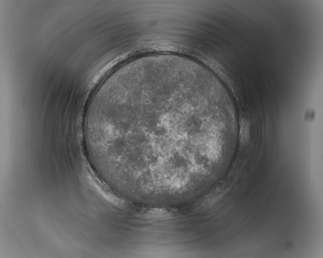 X0000114680390200911181235