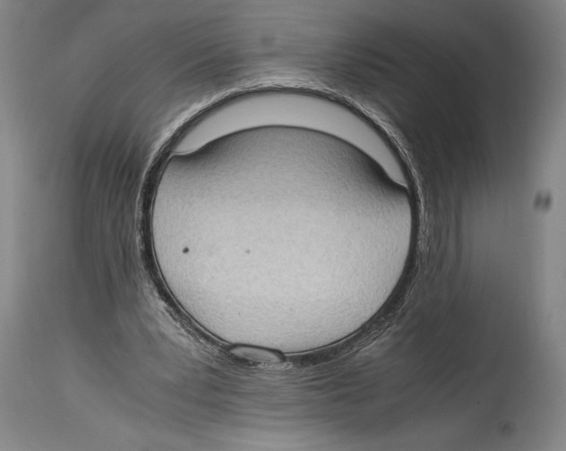 X0000114680391200911181235