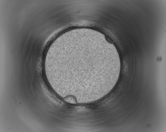 X0000114680392200911181235