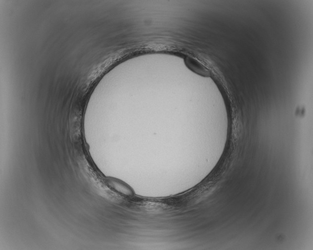 X0000114680393200911181235