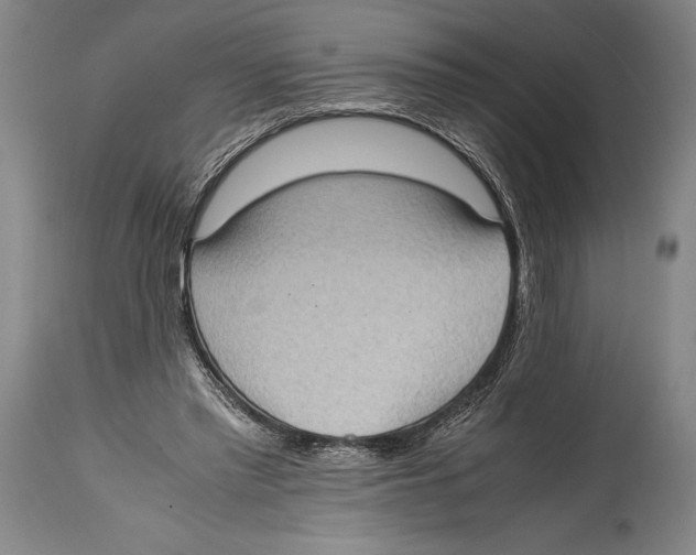 X0000114680397200911181235