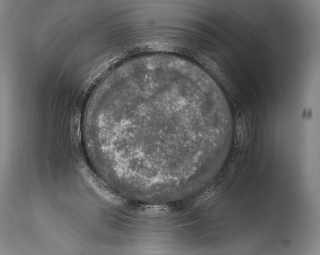 X0000114680398200911181235