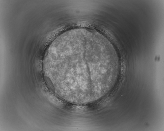 X0000114680401200911181235