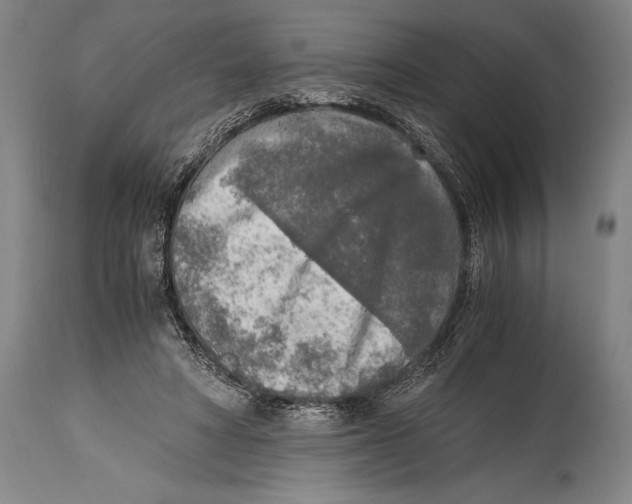 X0000114680402200911181235