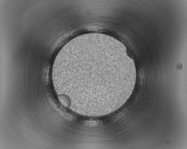 X0000114680404200911181234