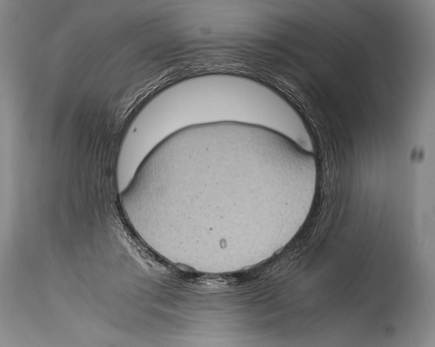 X0000114680405200911181234