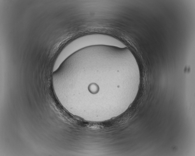 X0000114680407200911181234