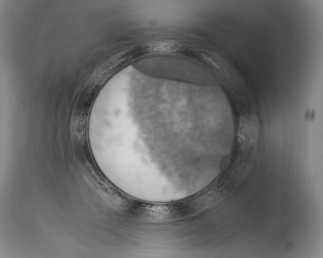 X0000114680409200911181234
