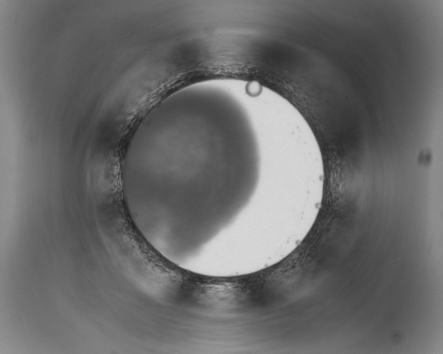 X0000114680411200911181234