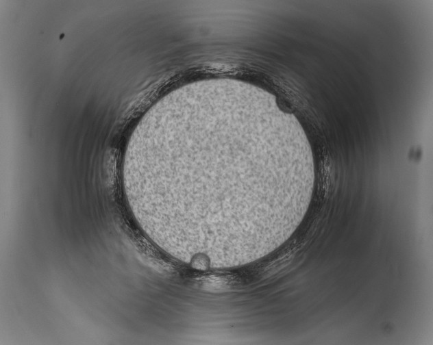 X0000114680412200911181234