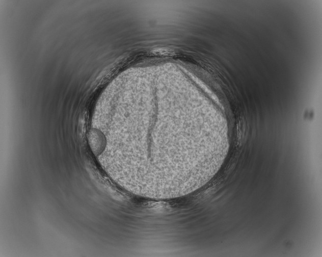 X0000114680424200911181234