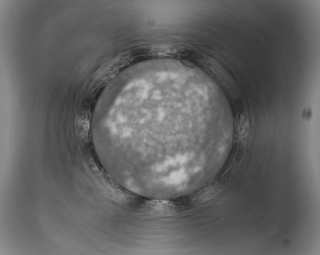 X0000114680427200911181234