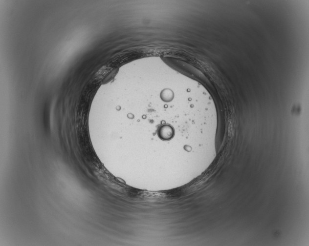 X0000114680429200911181234