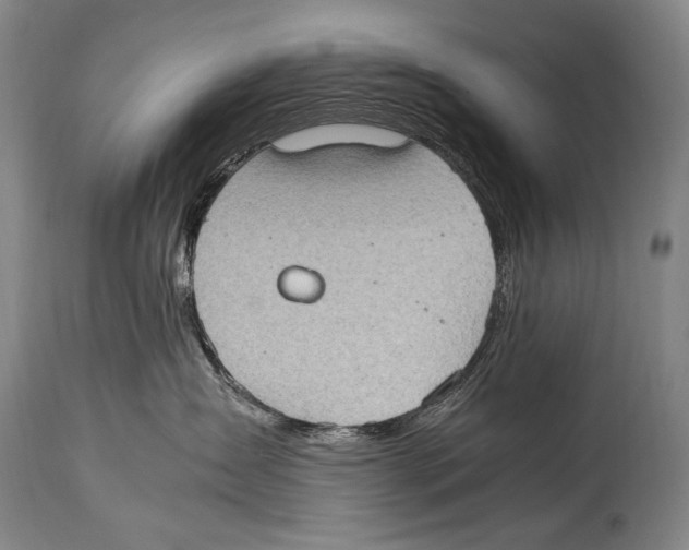 X0000114680431200911181234