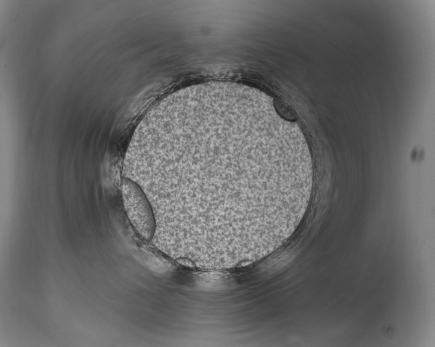 X0000114680432200911181234