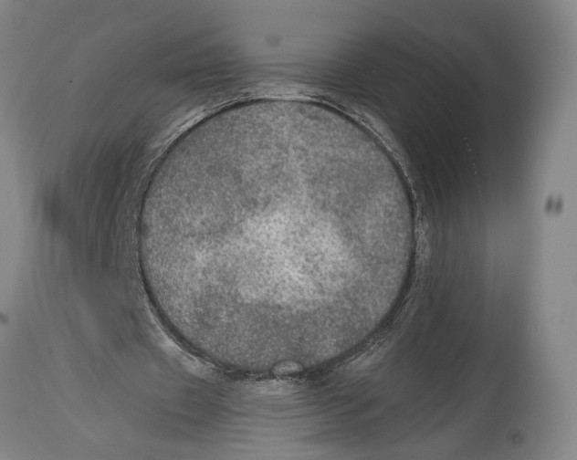 X0000114680433200911181233