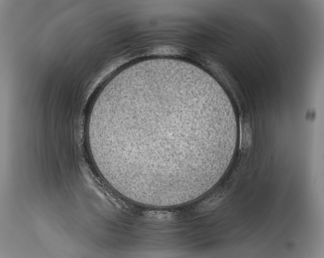 X0000114680435200911181233