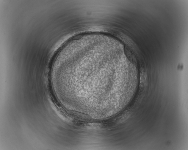 X0000114680436200911181233