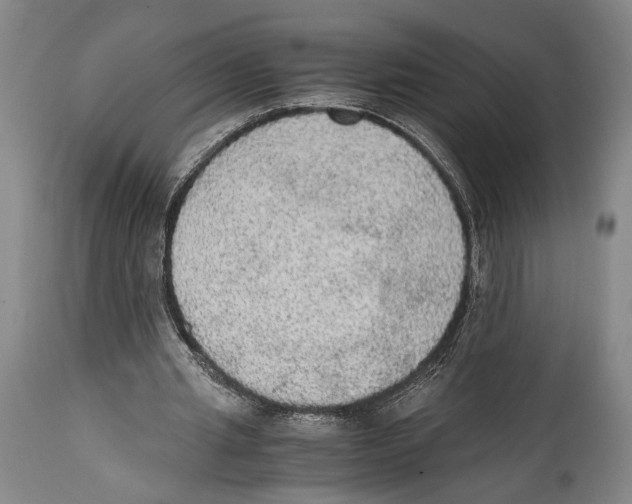 X0000114680437200911181233