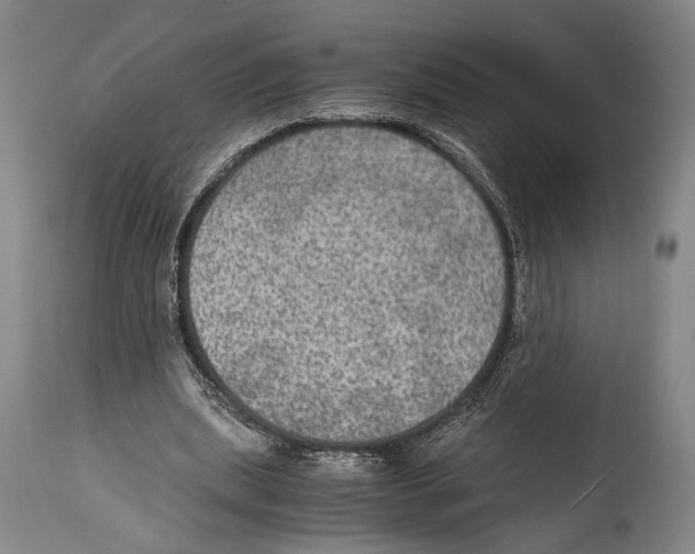 X0000114680439200911181234